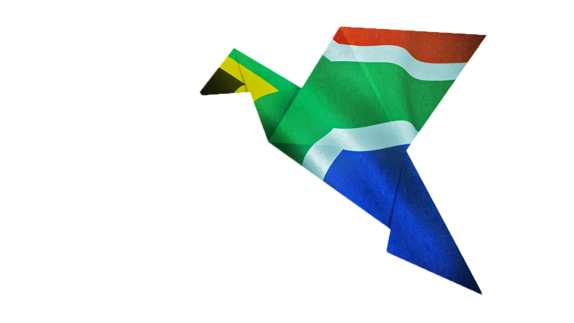 SA Branding logo white